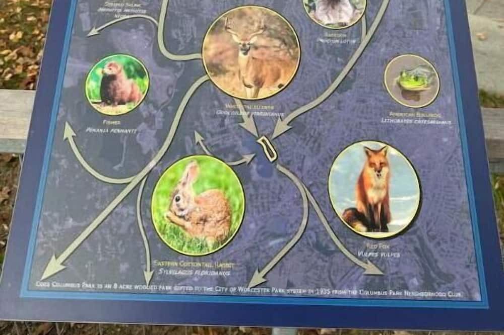 Photo of Others in Webster Square