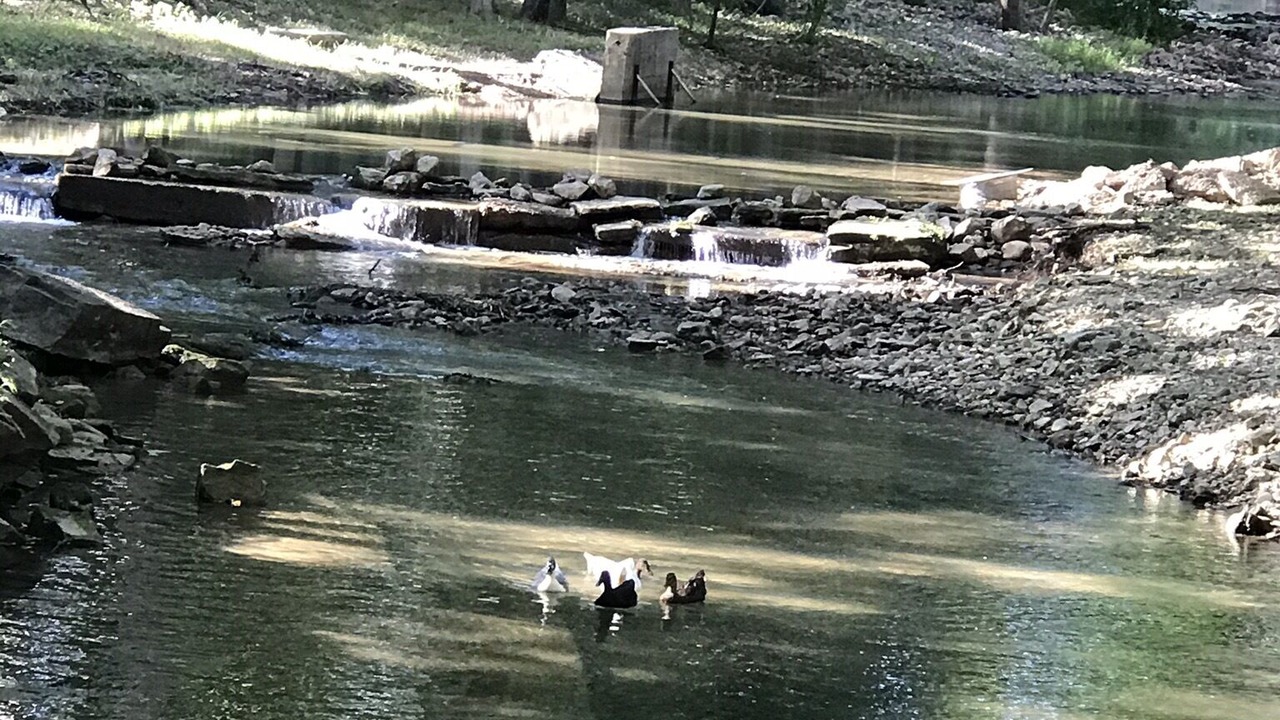 Photo of Others in Marble Falls
