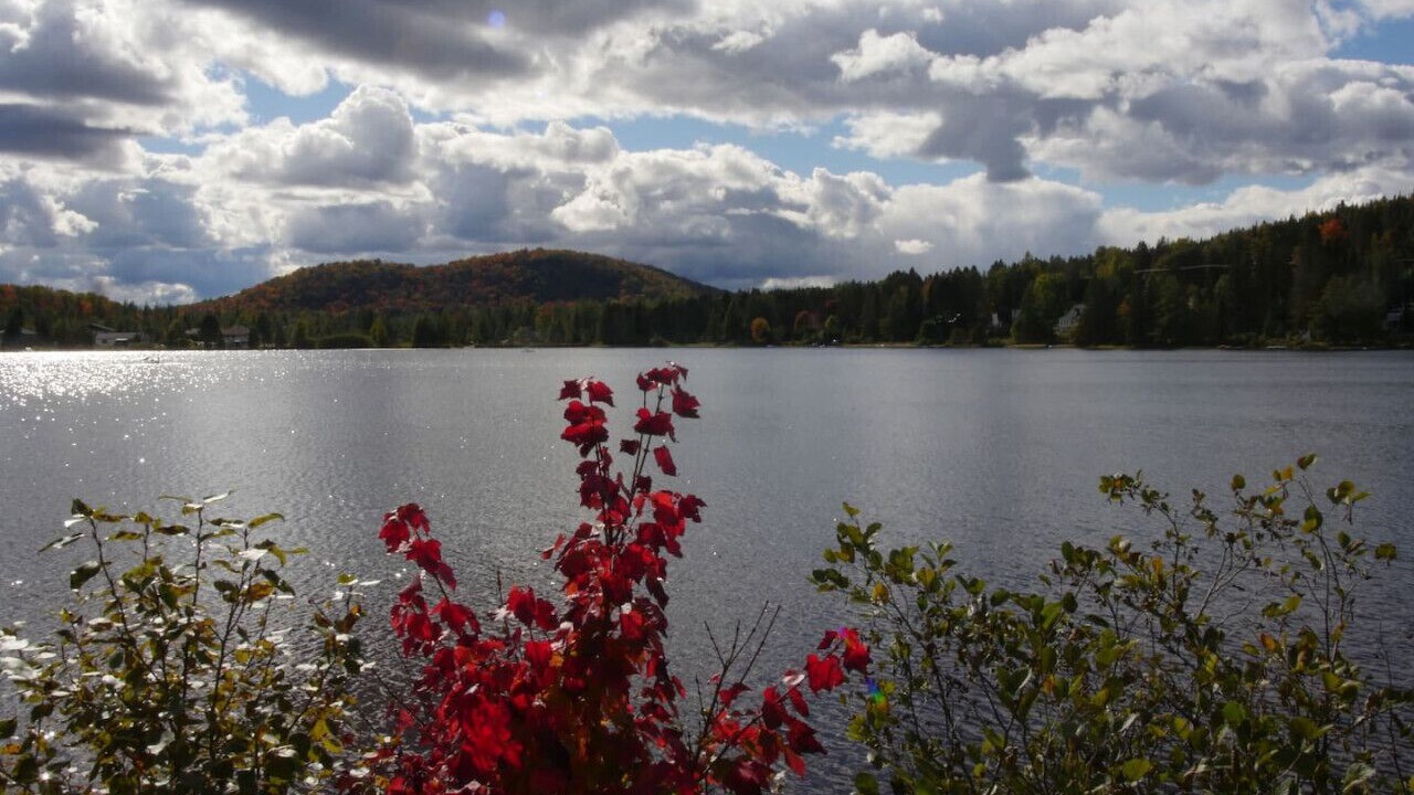 Photo of Others in Sainte-Lucie-des-Laurentides
