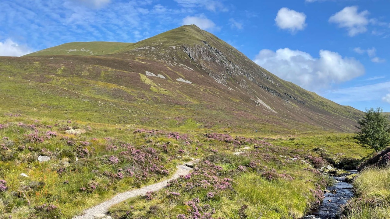 Photo of Others in Strathpeffer