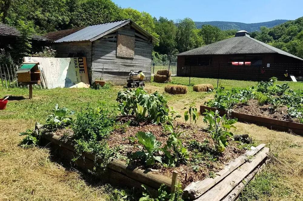 Photo of Outdoor in Brusque