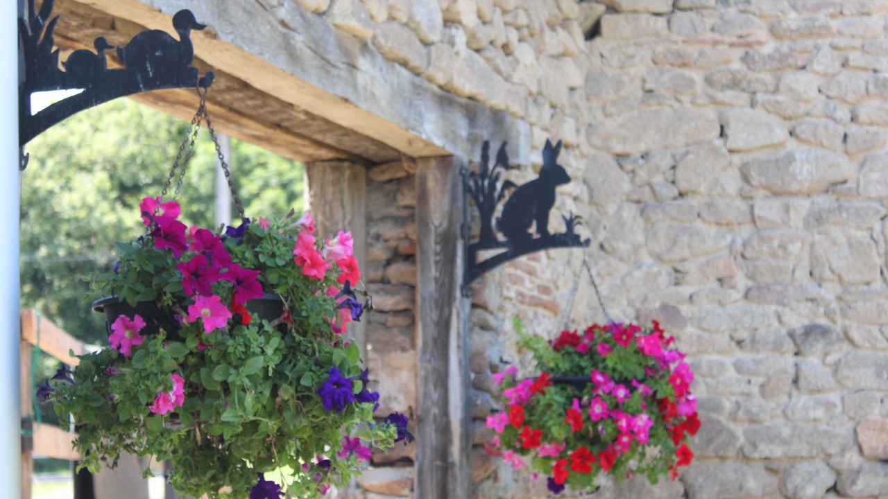 Photo of Outdoor in Pouligny-Notre-Dame