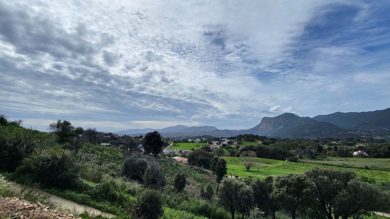 Photo of Others in Peri