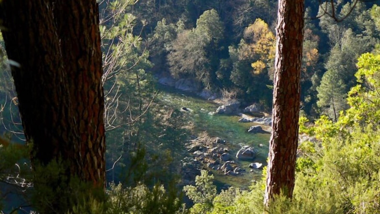 Photo of Others in Chambon