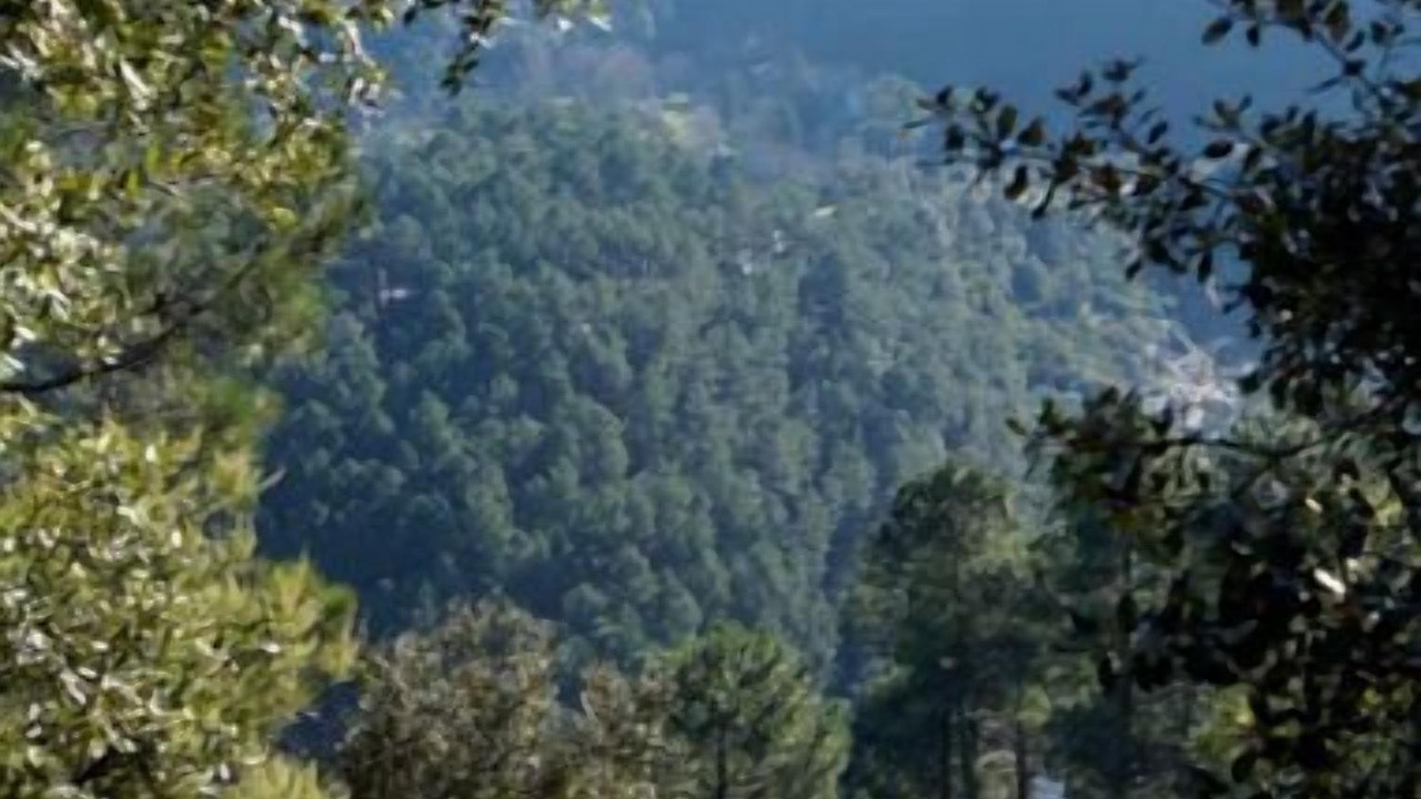 Photo of Others in Chambon