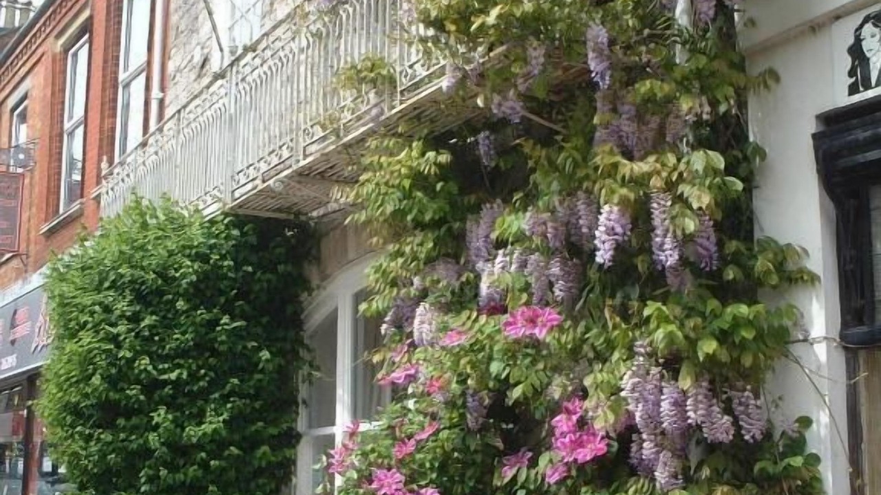 Photo of Outdoor in Dorchester