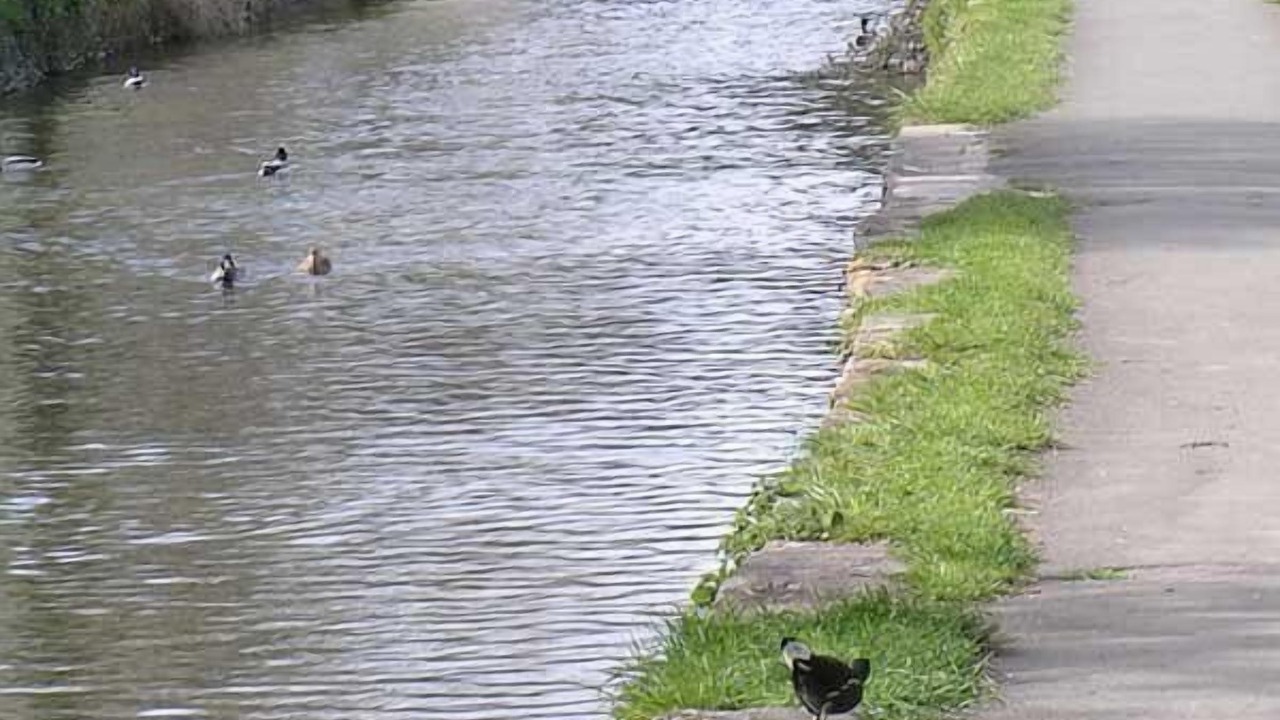 Photo of Others in Dorchester