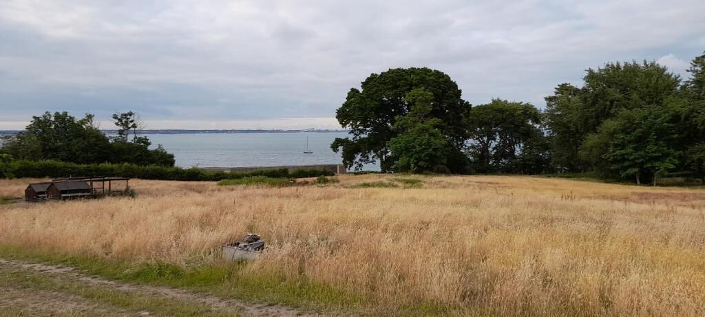 Photo of Others in Dorchester