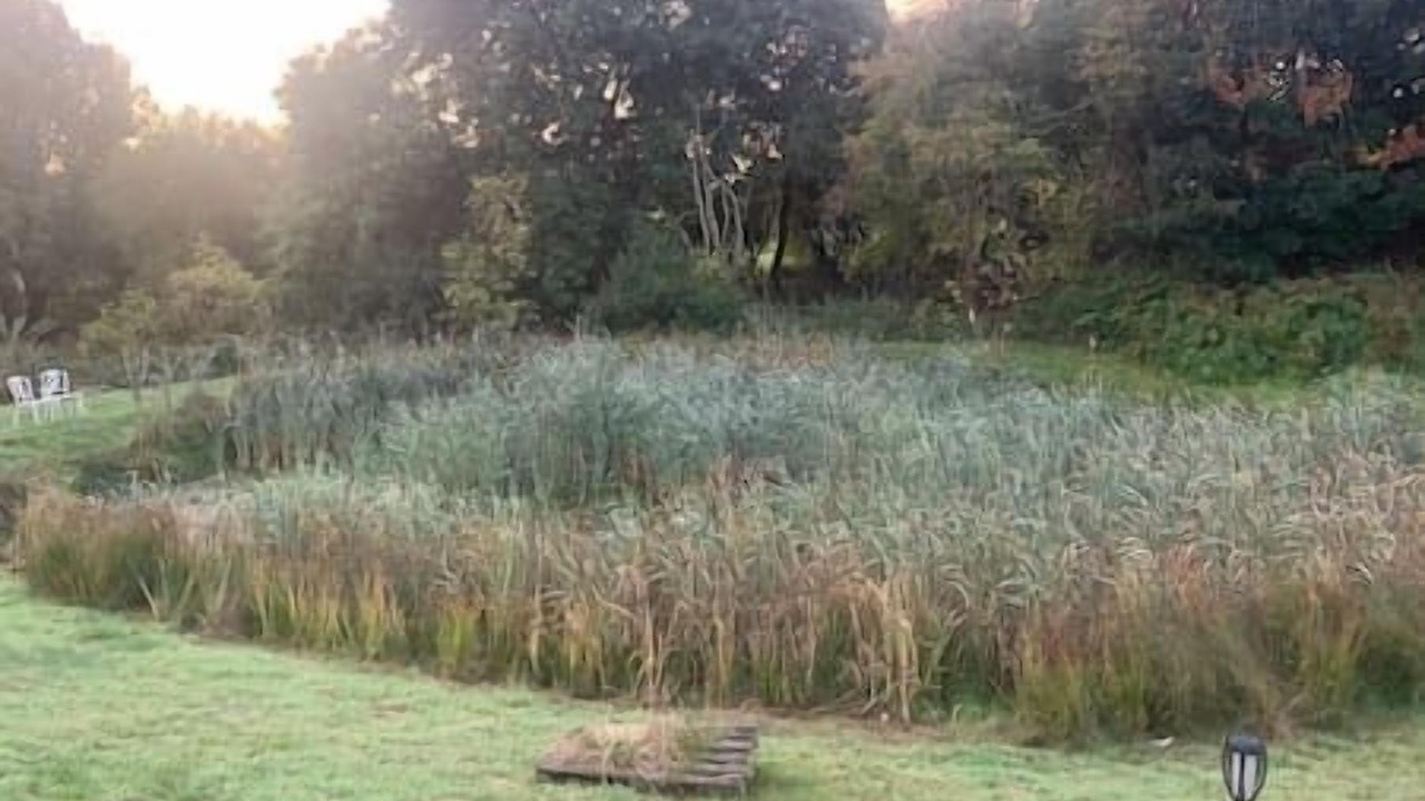 Photo of Outdoor in Cuddesdon
