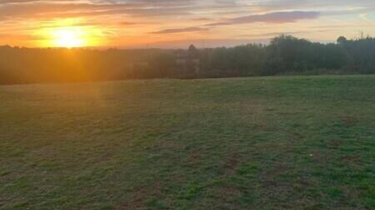 Photo of Others in Cuddesdon