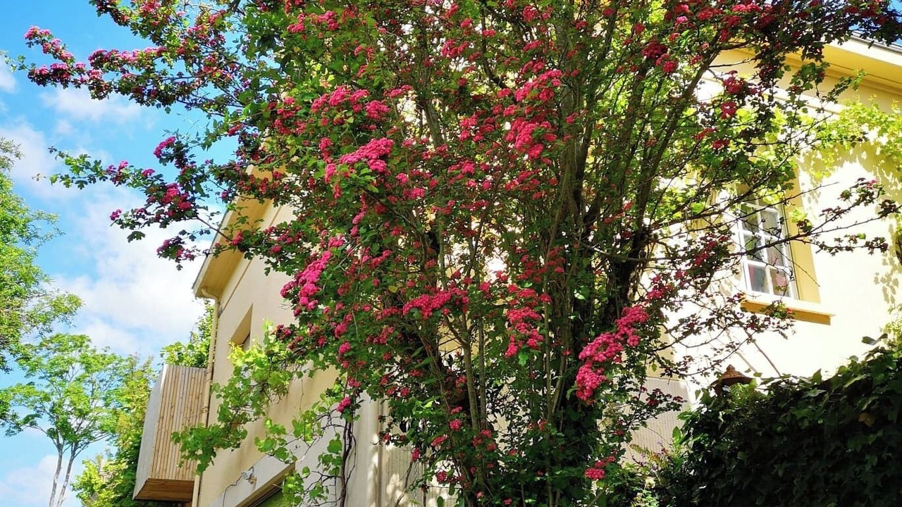 Photo of Outdoor in Pont du Cens-Cote d'Or