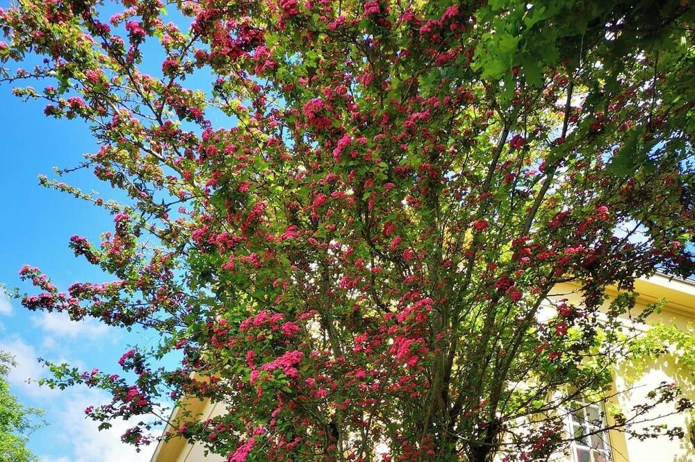 Photo of Outdoor in Pont du Cens-Cote d'Or