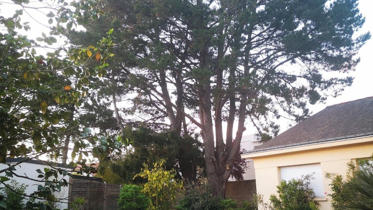 Photo of Outdoor in Pont du Cens-Cote d'Or