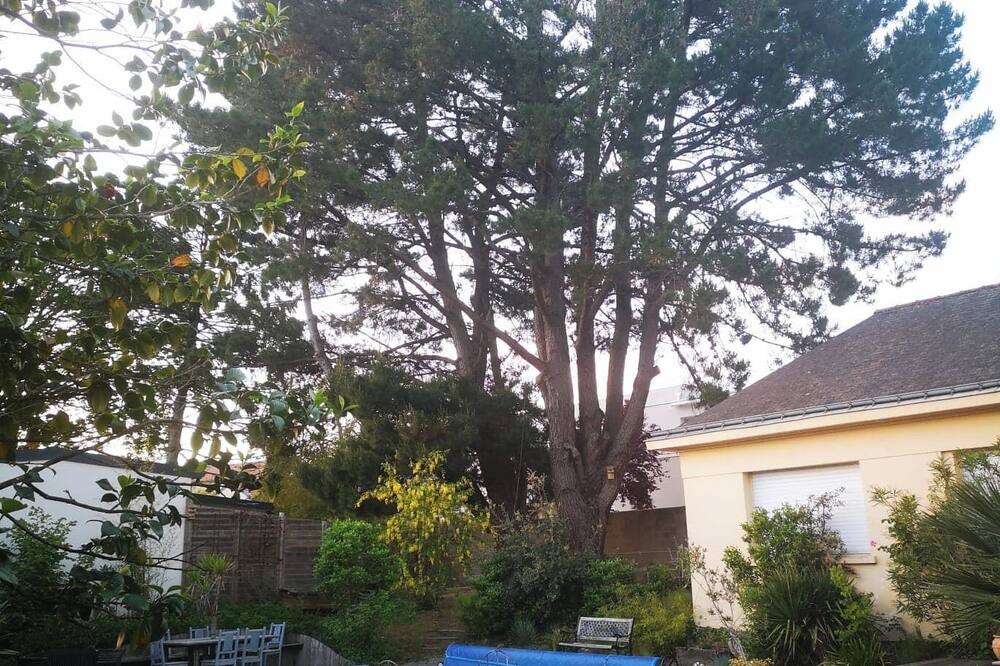 Photo of Outdoor in Pont du Cens-Cote d'Or