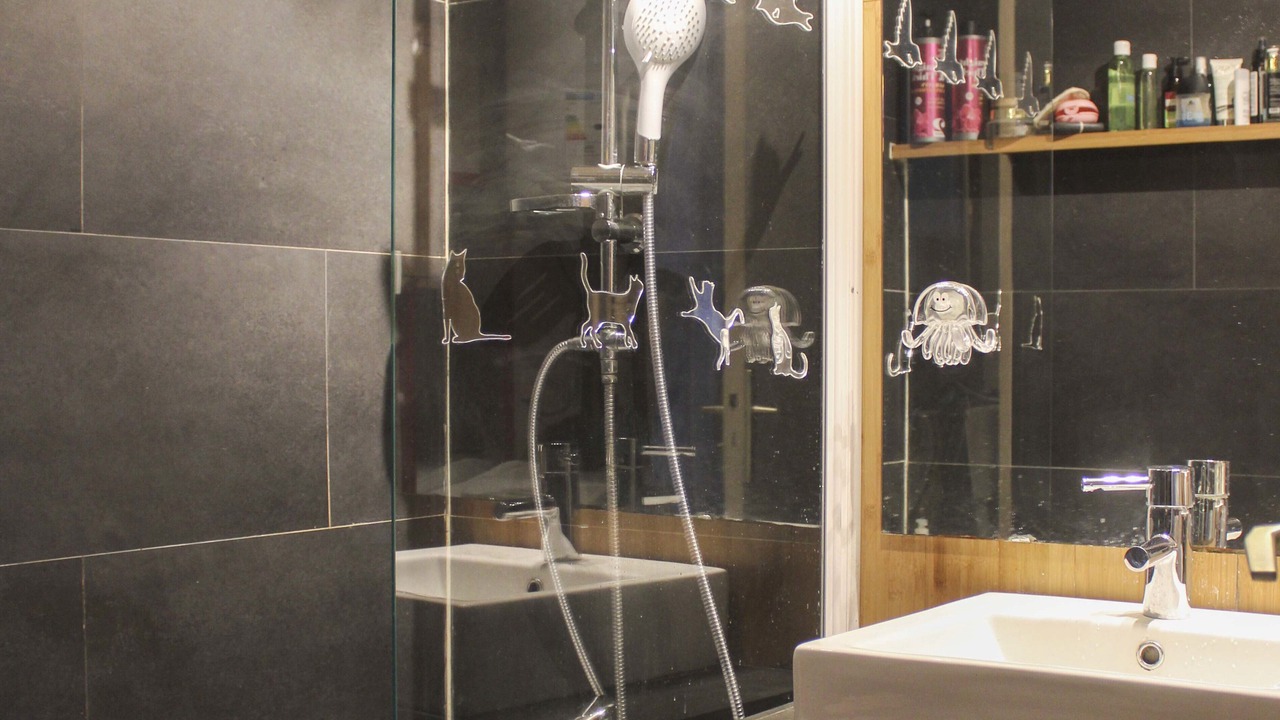 Photo of Others in Flandres