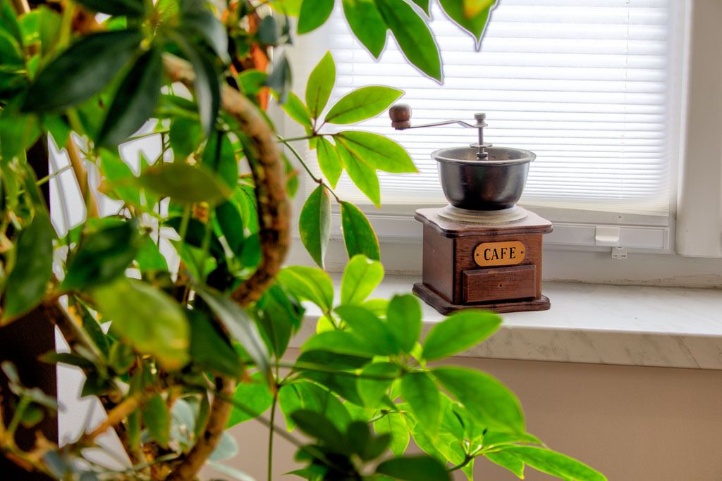 Photo of Bedroom in Niederbronn-les-Bains