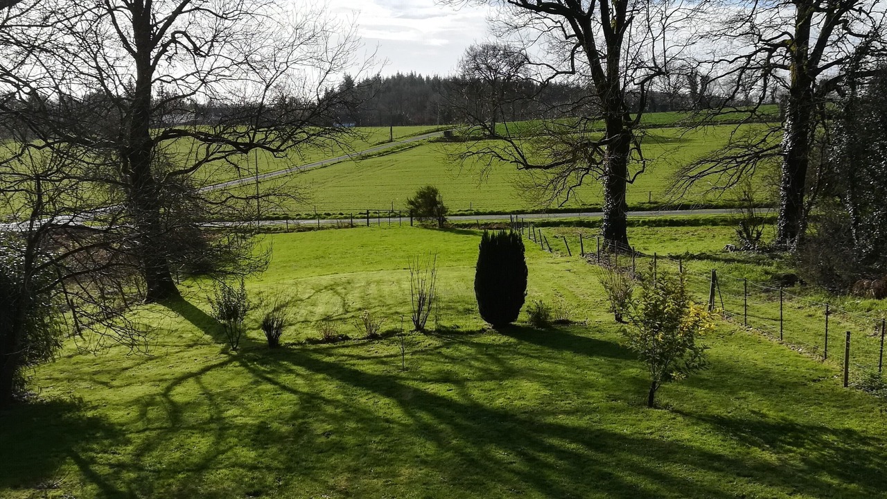 Photo of Outdoor in Peaule