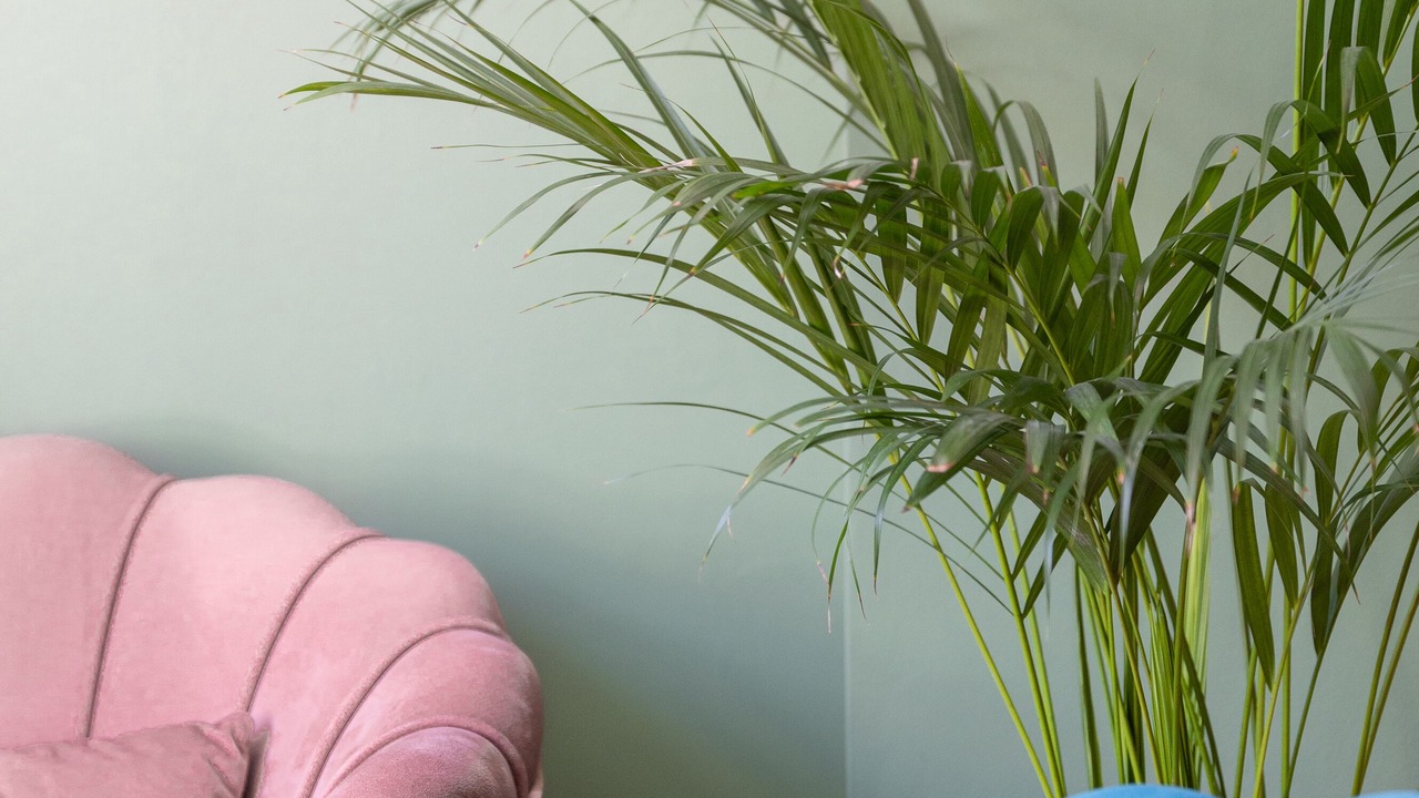 Photo of Others in Arundel