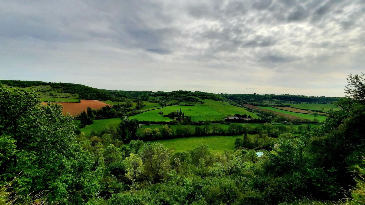 Photo of Others in Cordes-sur-Ciel