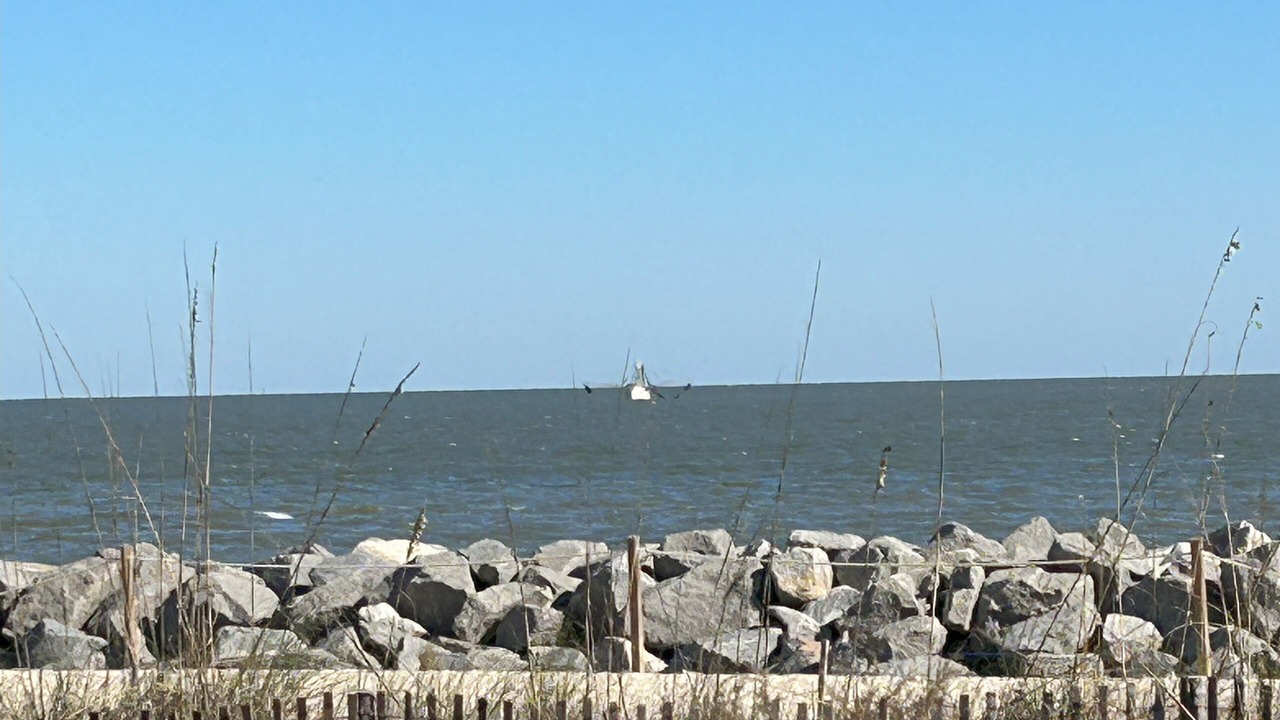 Photo of Others in Jekyll Island