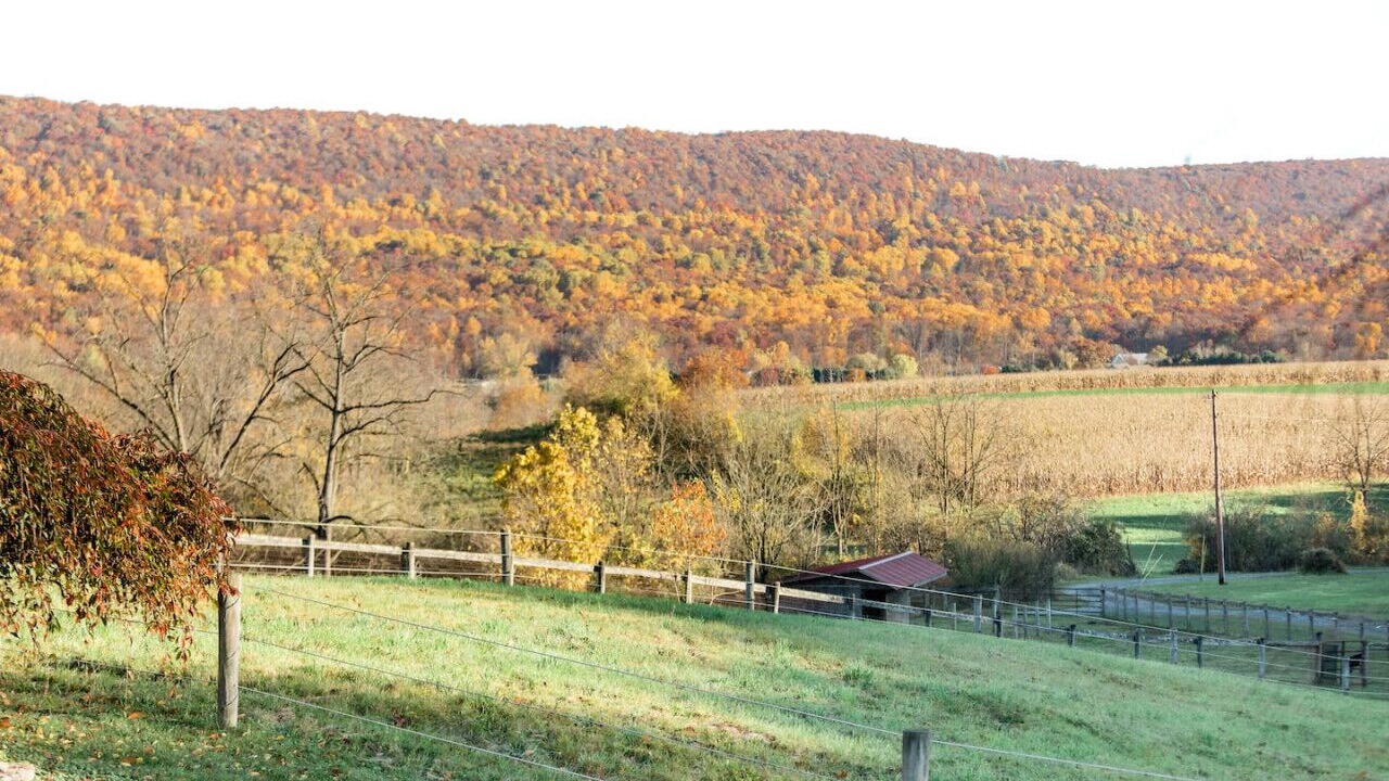 Photo of Others in Mount Aetna