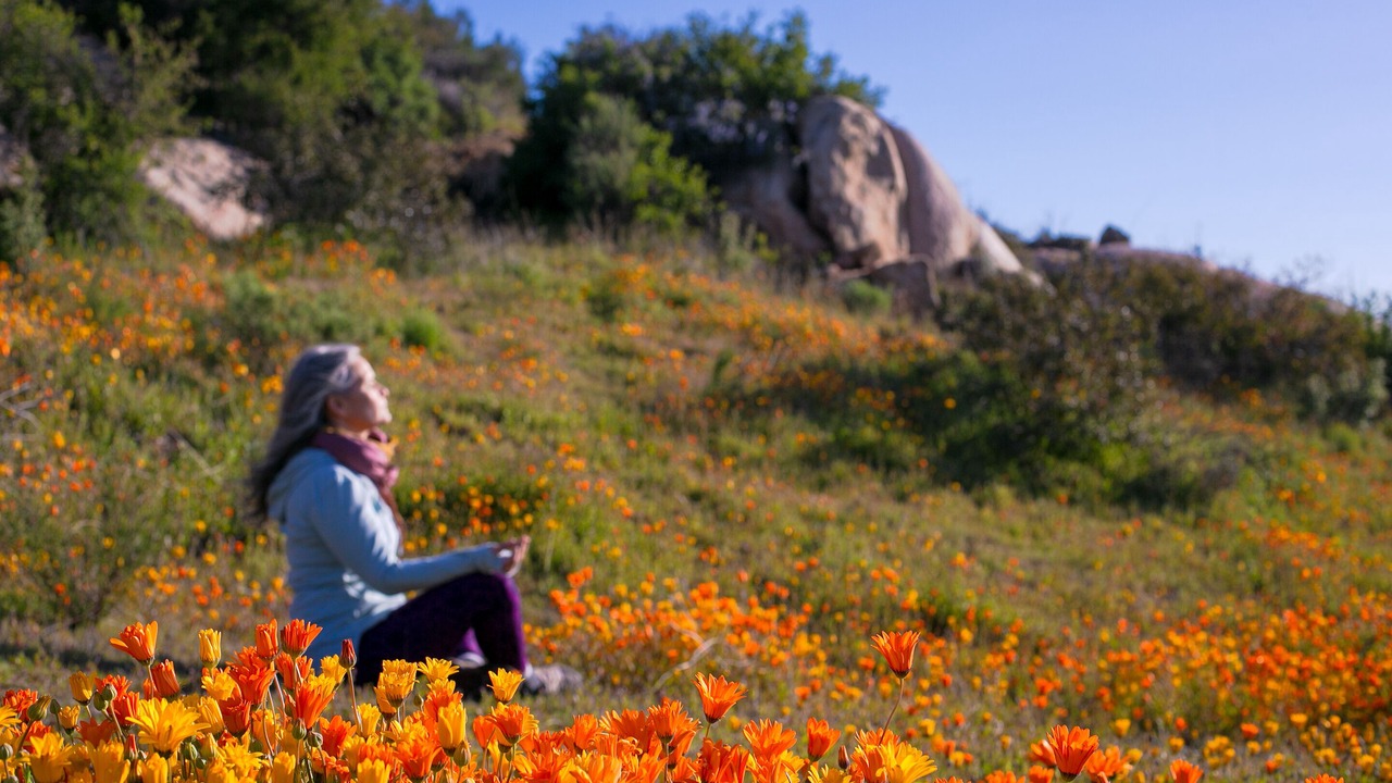 Photo of Outdoor in Tecate