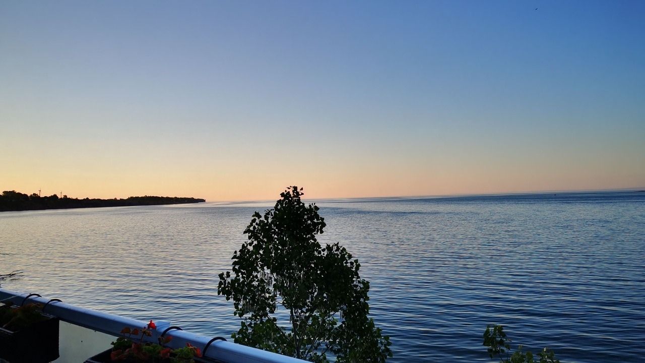 Photo of Others in Dunnville