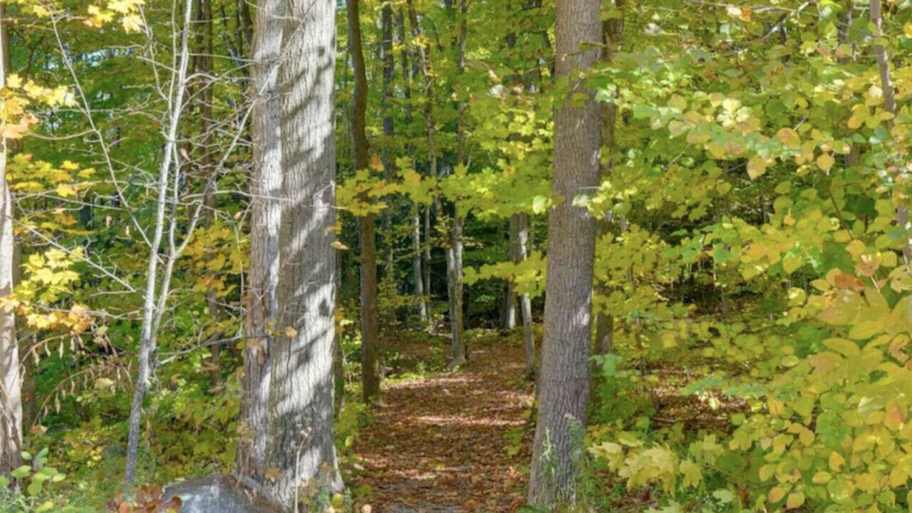 Photo of Outdoor in Penetanguishene