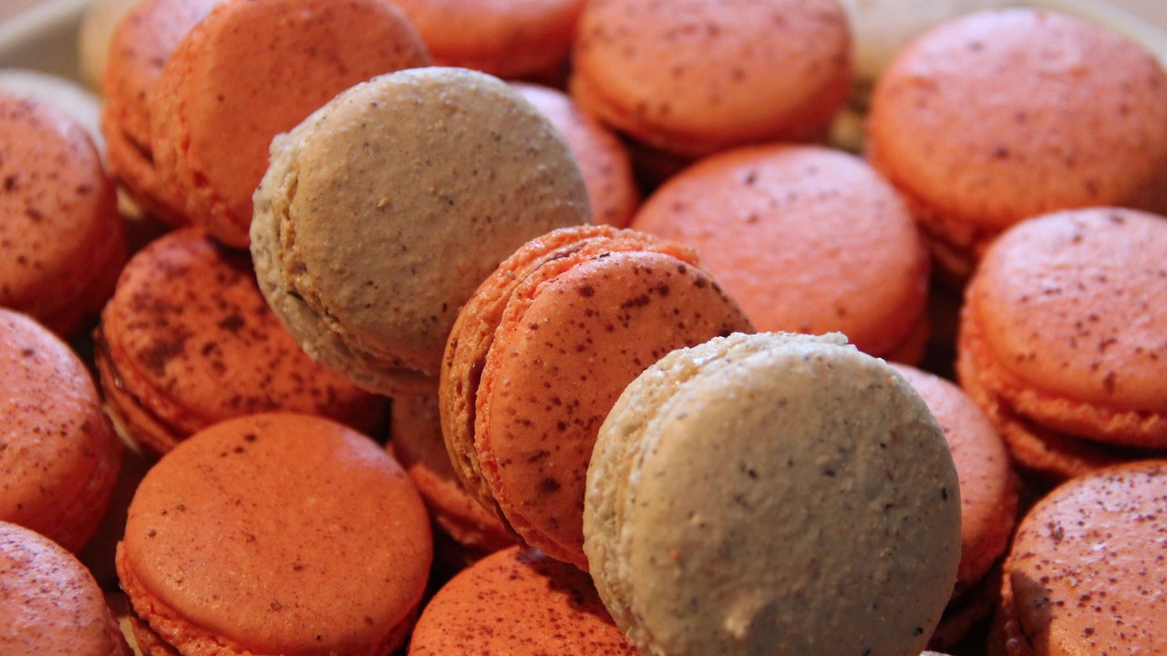 Photo of Others in Tracy-sur-Mer