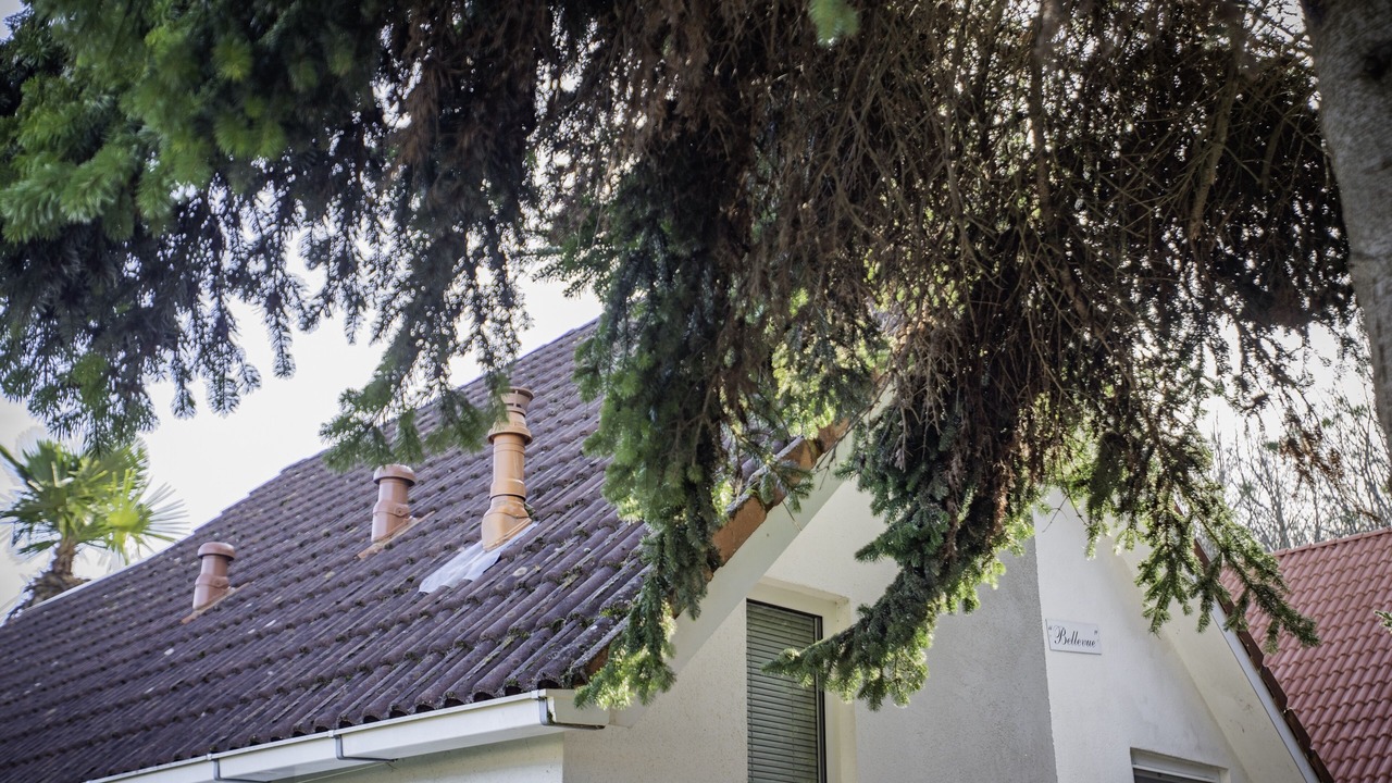 Photo of Outdoor in Daumazan-sur-Arize