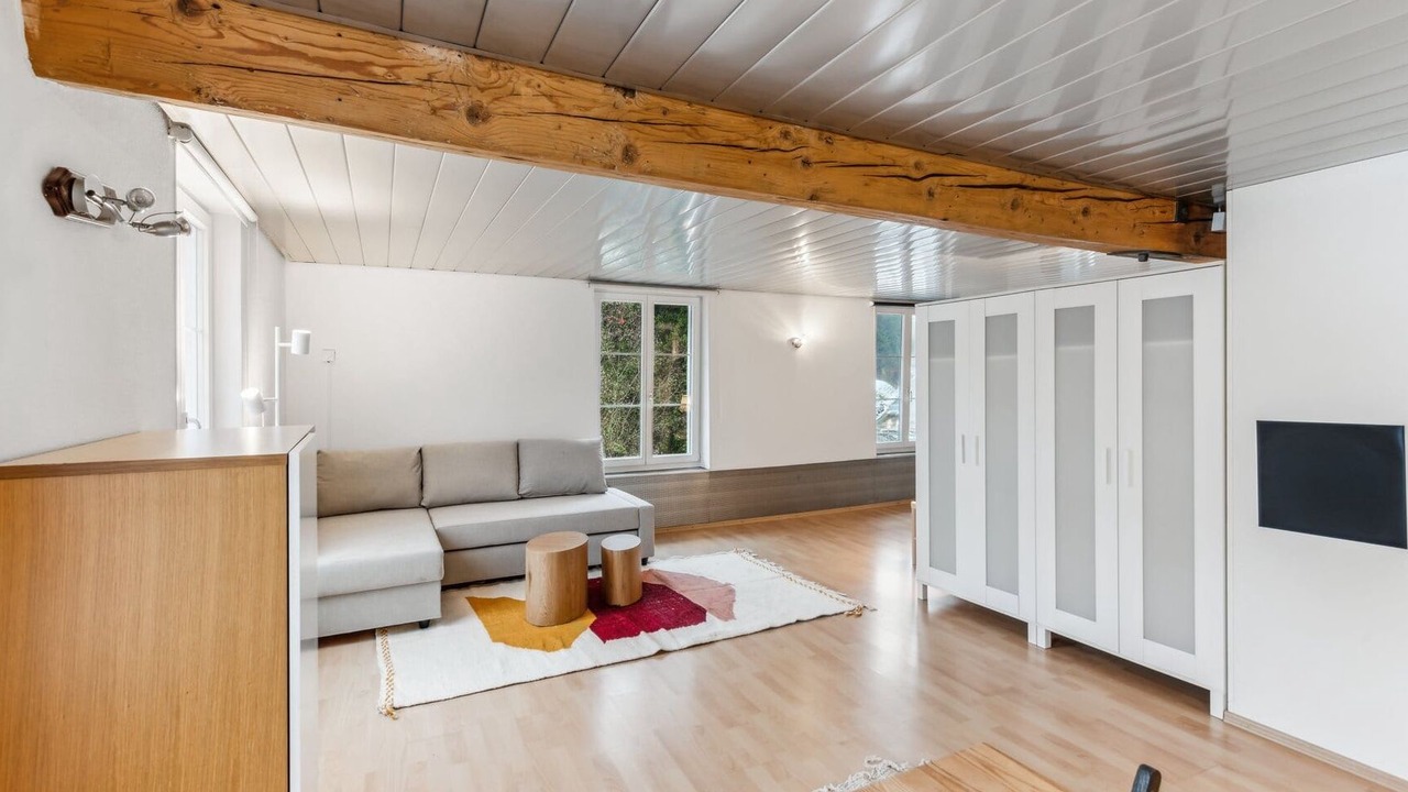 Photo of Livingroom in Dietikon District