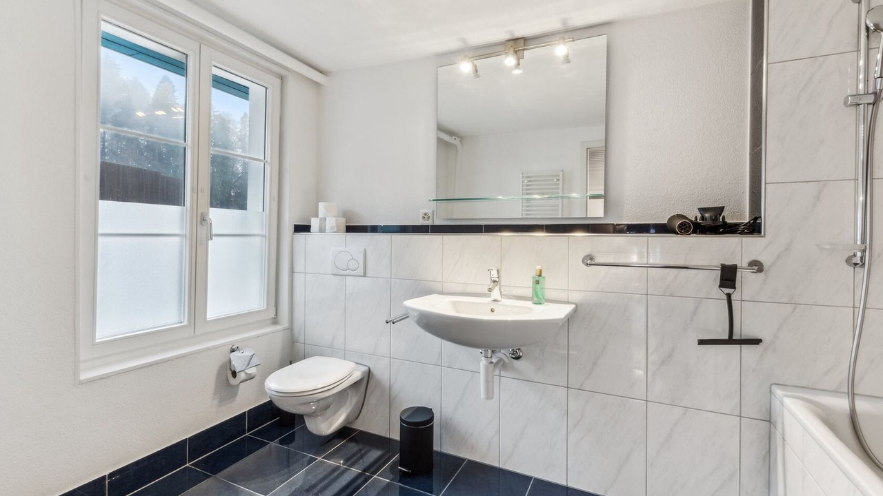 Photo of Others in Dietikon District