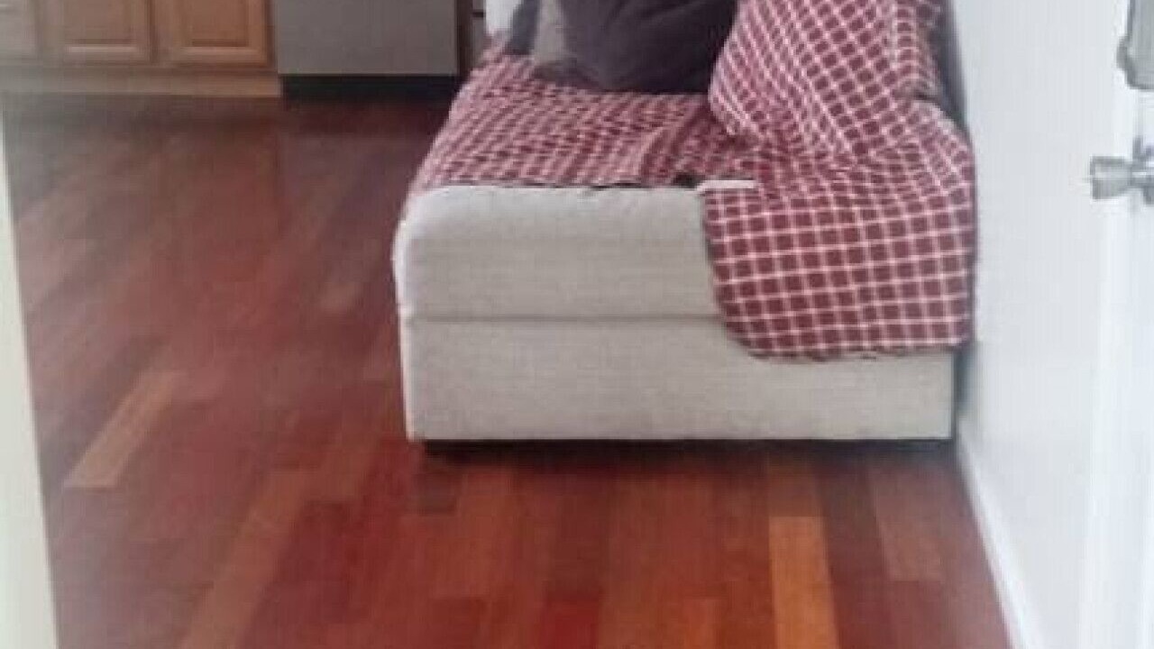 Photo of Others in Niskayuna