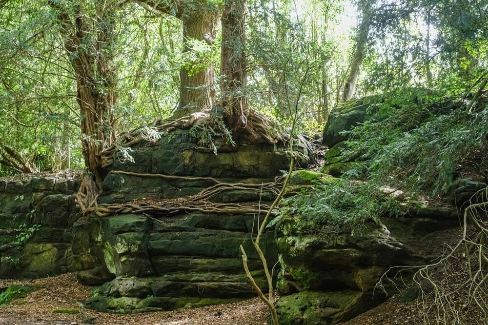 Photo of Others in West Hoathly