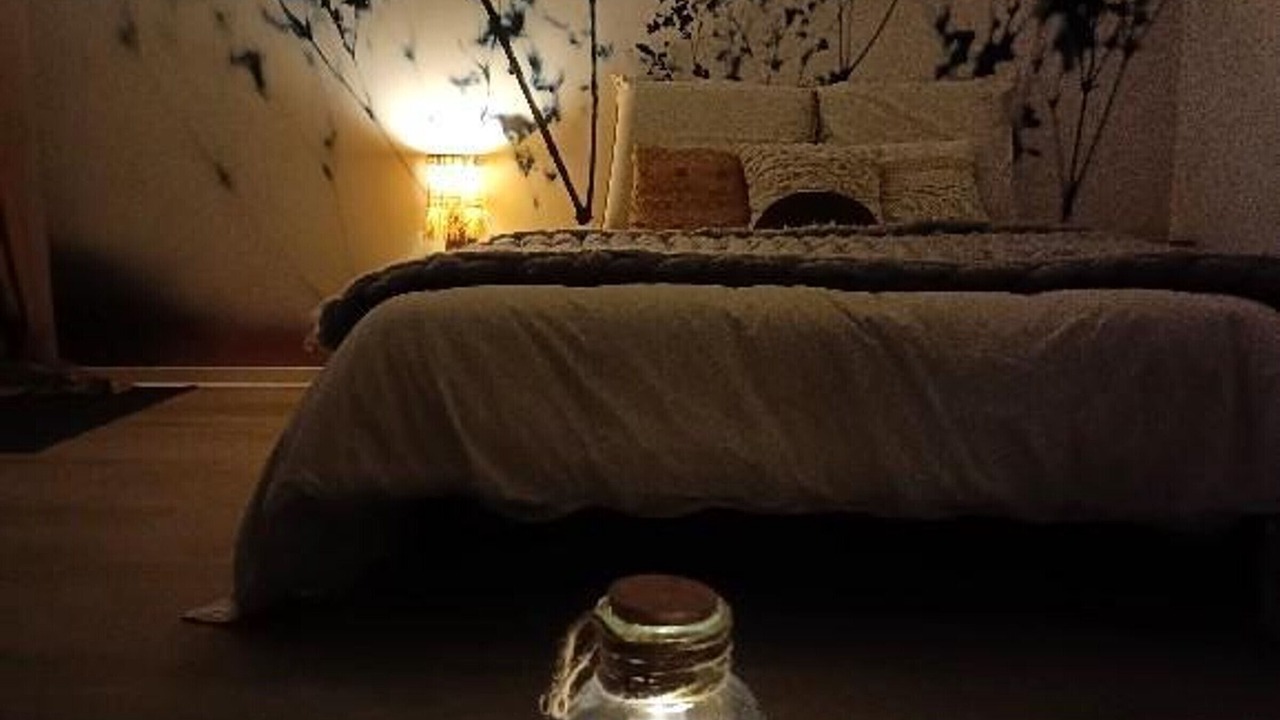 Photo of Others in Quinssaines