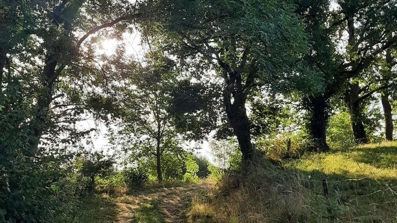 Photo of Outdoor in Quinssaines