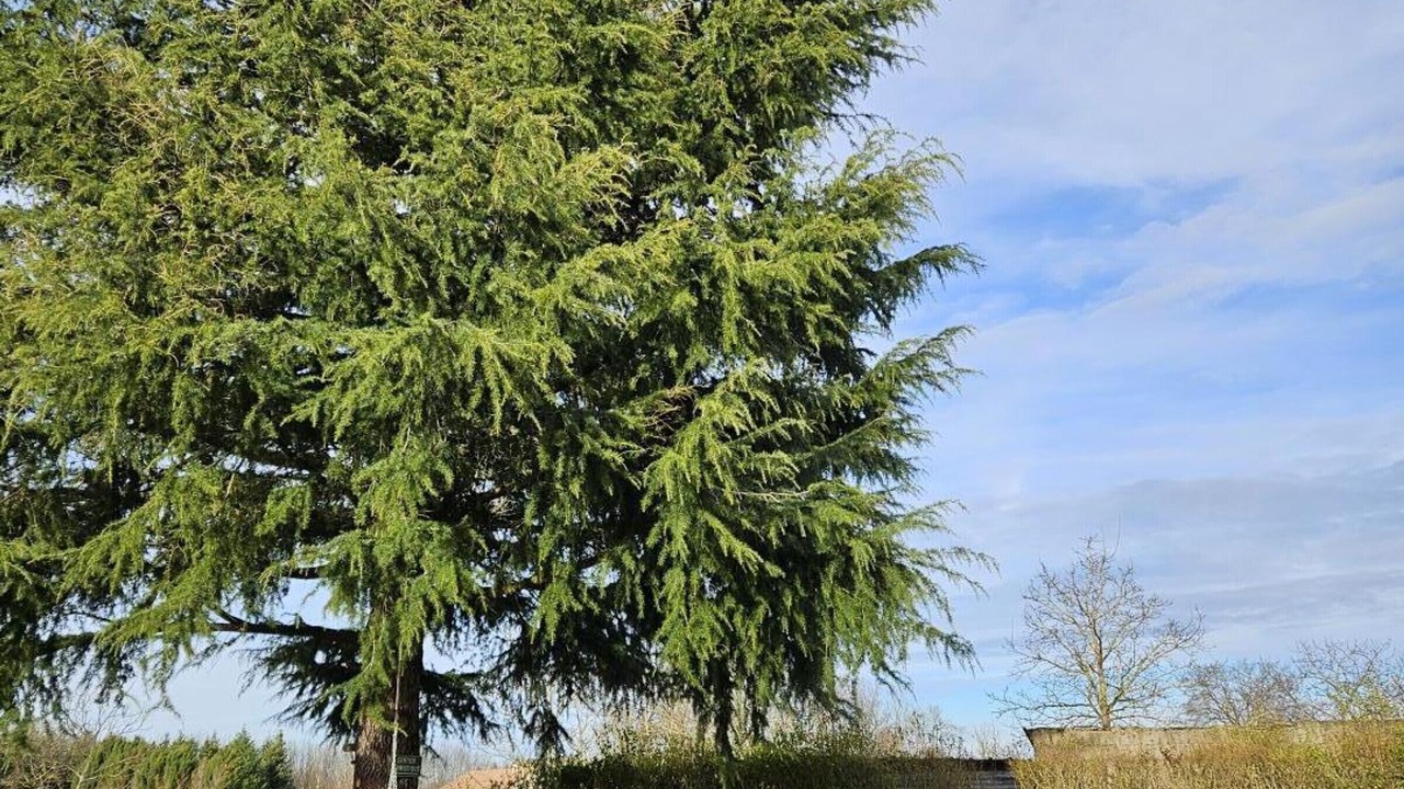 Photo of Outdoor in Quinssaines