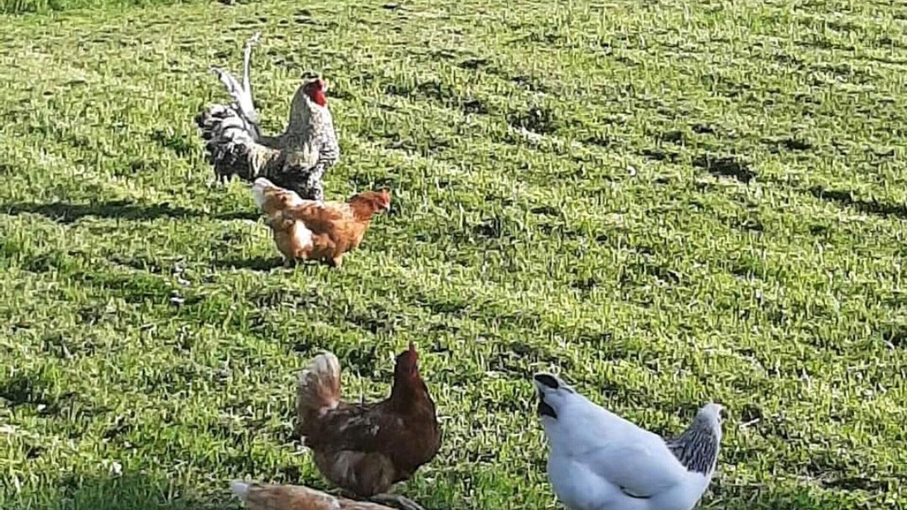 Photo of Others in Quinssaines