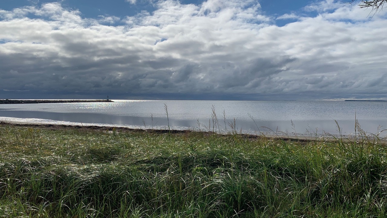 Photo of Others in Neguac