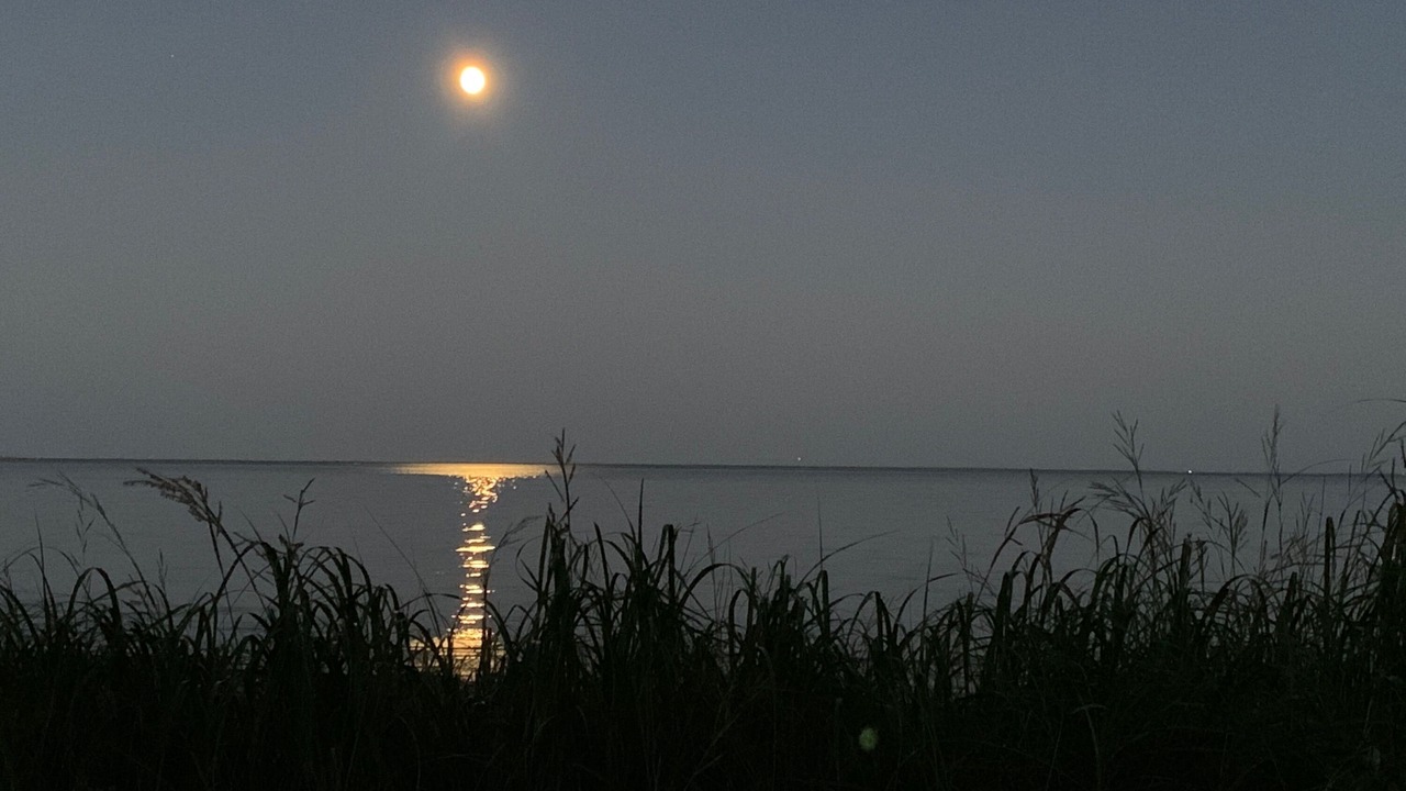 Photo of Others in Neguac