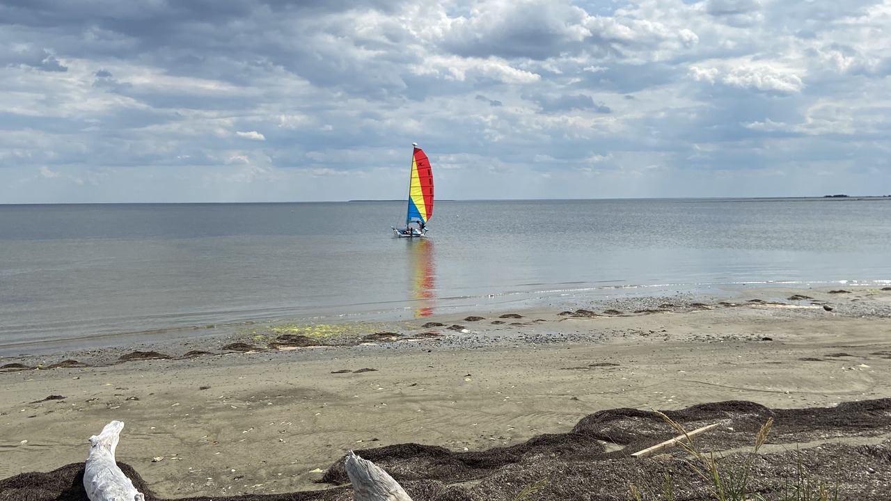 Photo of Others in Neguac