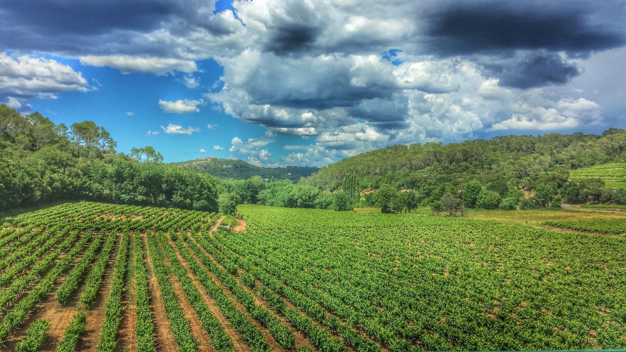 Photo of Outdoor in Flassans-sur-Issole