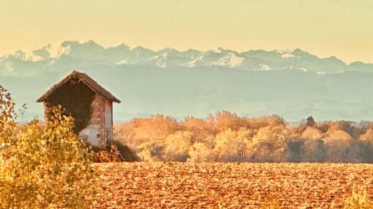 Photo of Others in Lux