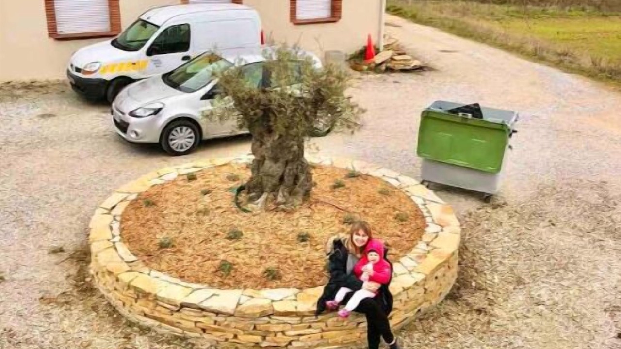 Photo of Outdoor in Lux