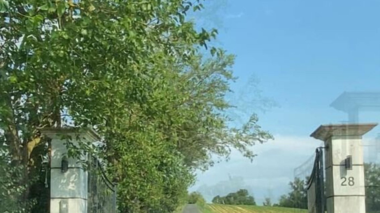 Photo of Outdoor in Lux