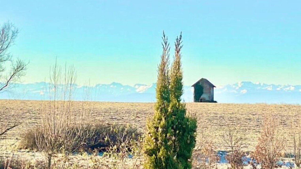 Photo of Others in Lux