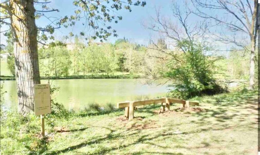 Photo of Outdoor in Lux