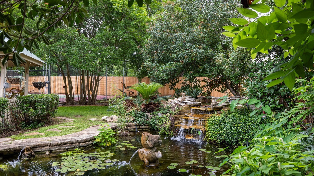 Photo of Outdoor in McNeil