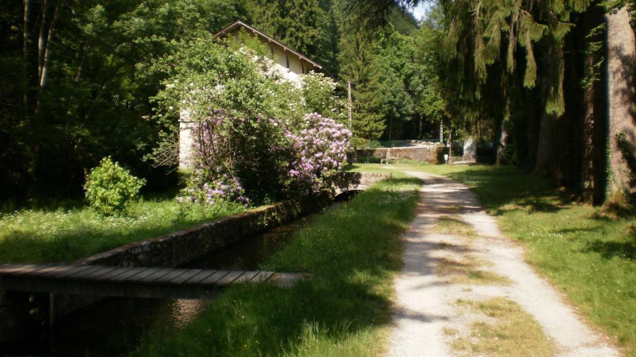 Photo of Outdoor in Lacombe