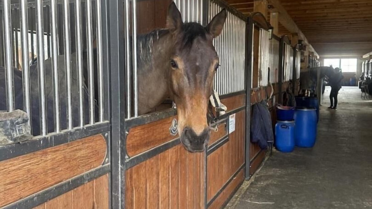 Photo of Outdoor in Thoiry